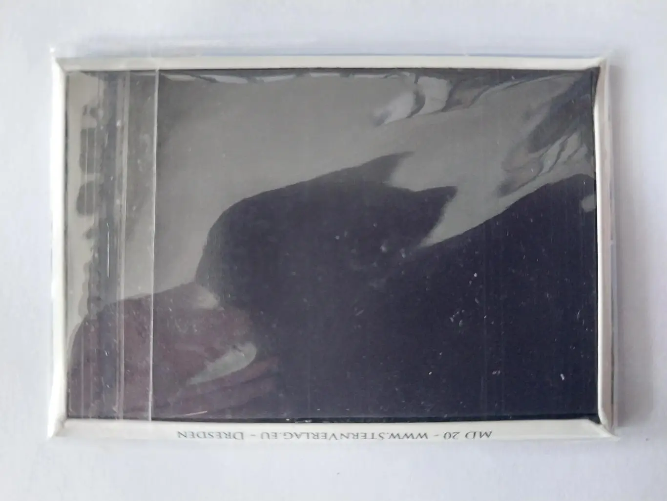 Магнит Дрезден 1