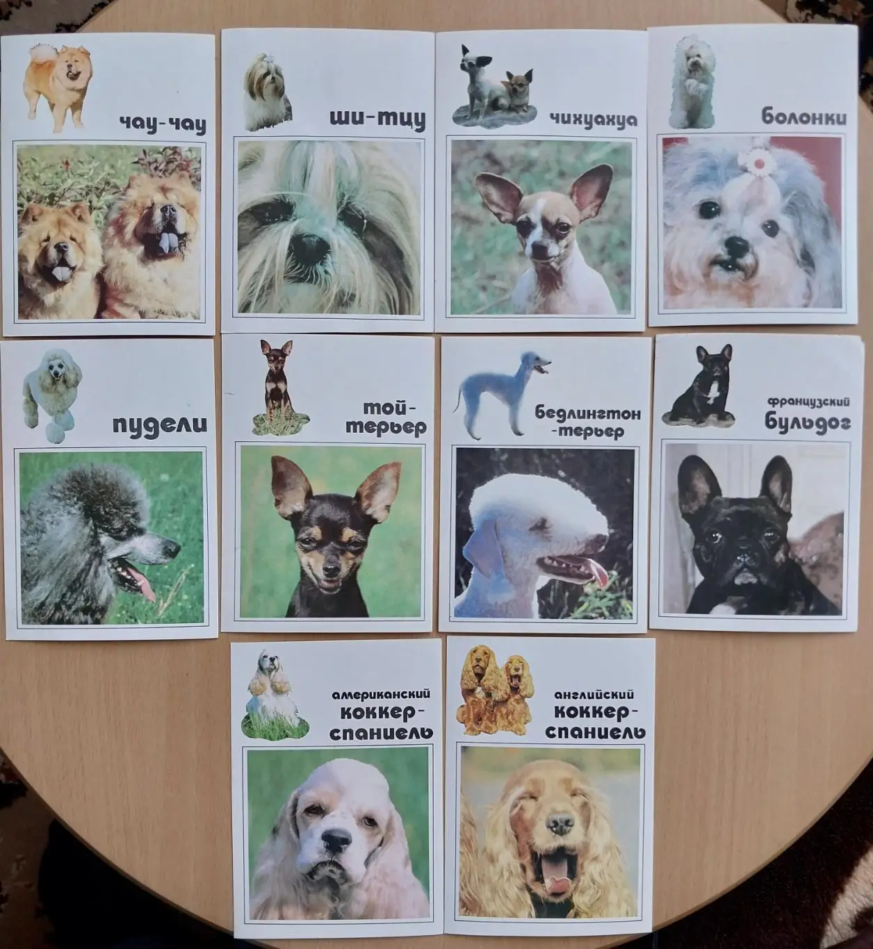 Открытки Собаки из серии Наши верные друзья, 1991 год