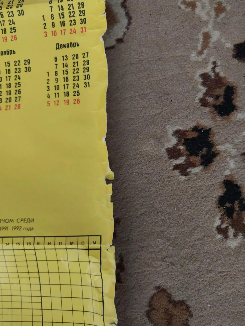 ХК Сибсельмаш, Новосибирск. Сезон 1992-1993. Хоккей с мячом 2