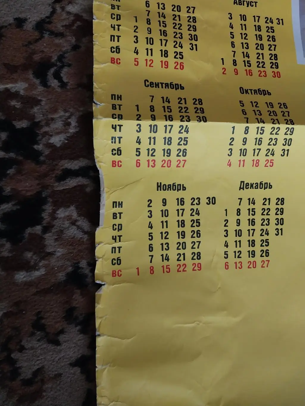 ХК Сибсельмаш, Новосибирск. Сезон 1992-1993. Хоккей с мячом 3