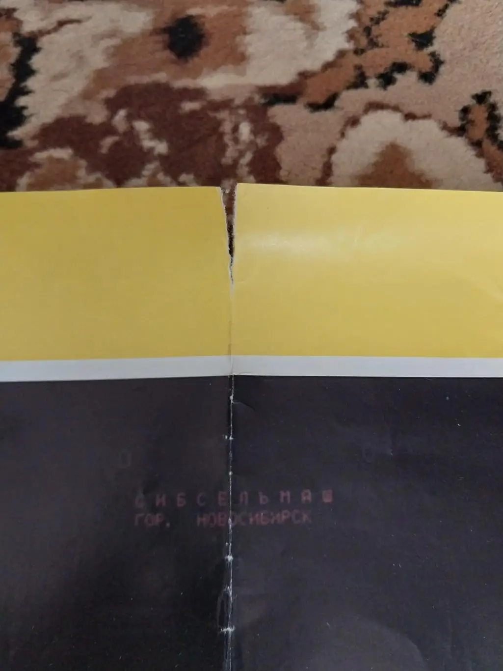 ХК Сибсельмаш, Новосибирск. Сезон 1992-1993. Хоккей с мячом 4