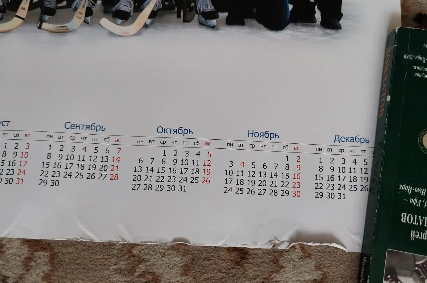 Хк Старт Нижний Новгород, 2008, хоккей с мячом 1