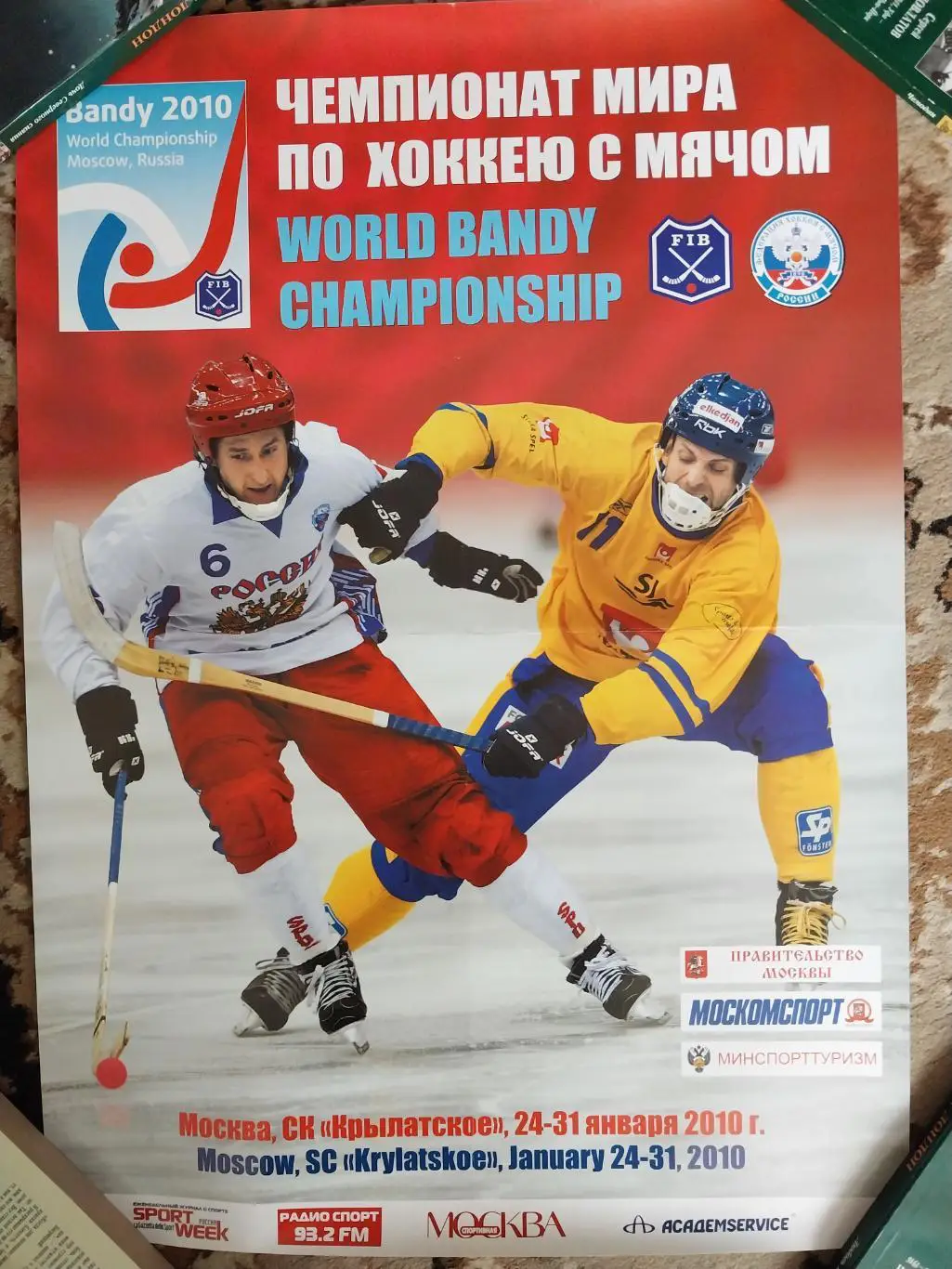 Афиша Чемпионат мира по хоккею с мячом 2010, Москва