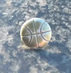 Значок Баскетбол, СССР, редкий