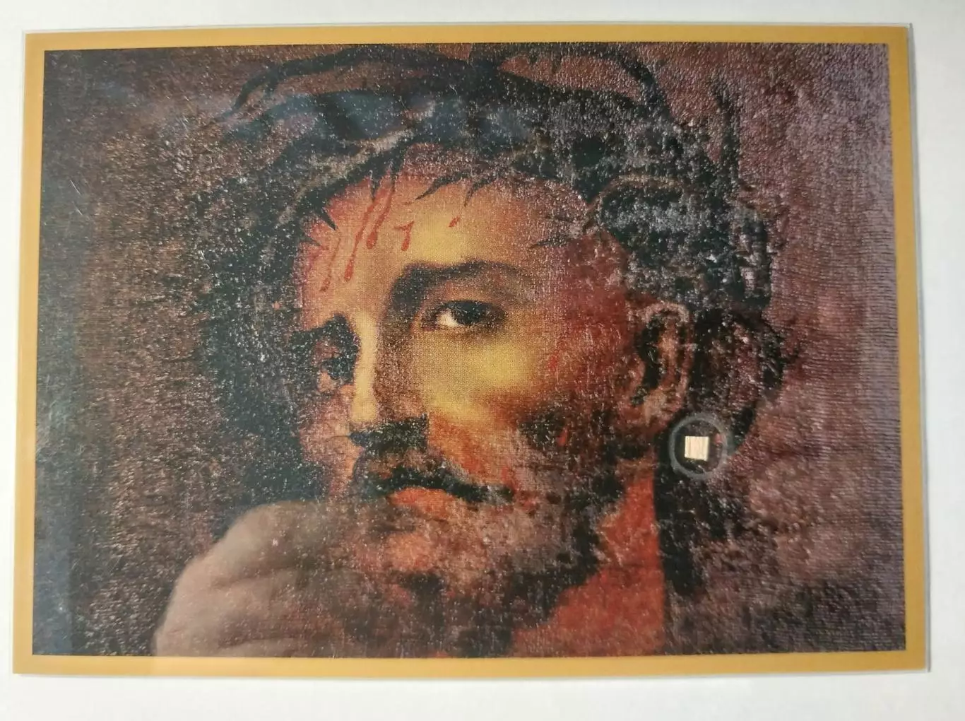 Частица дуба Мамврийского