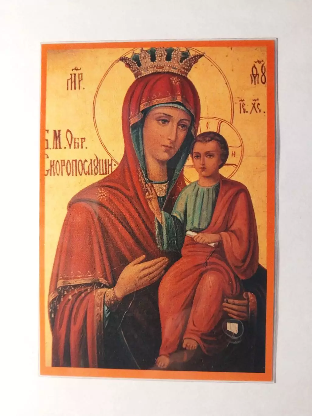 Частица дуба Мамврийского 2