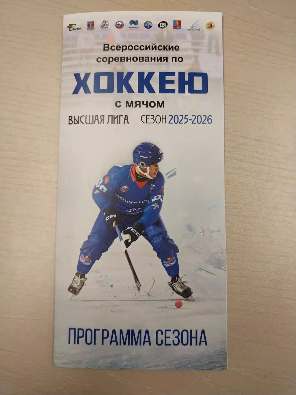 ХК Мончегорск - 2025-2026. Хоккей с мячом. Программа сезона.