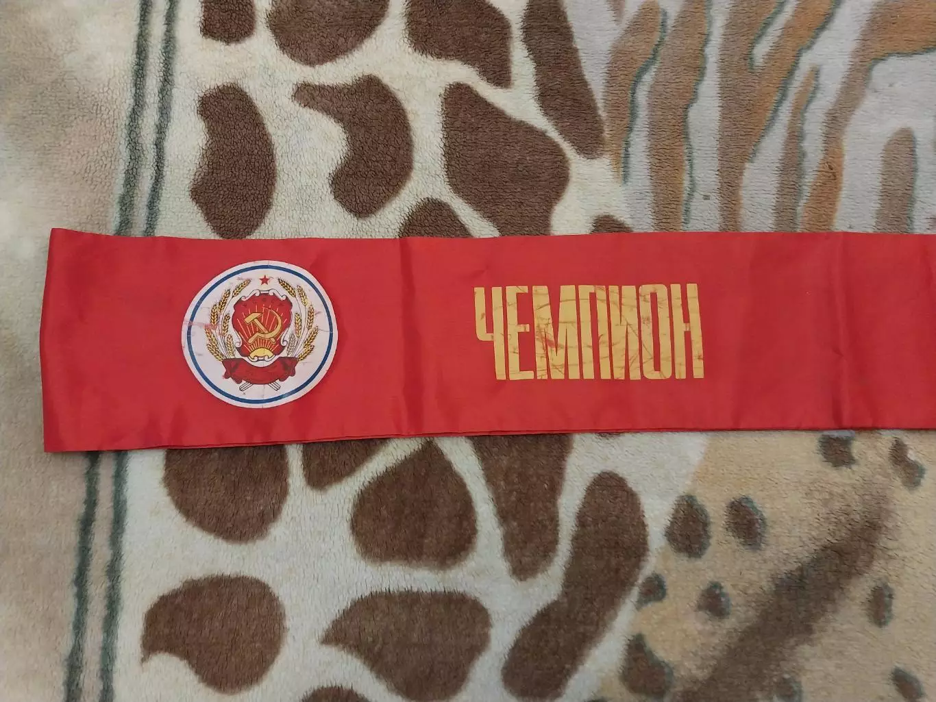 Лента чемпиона РСФСР 1