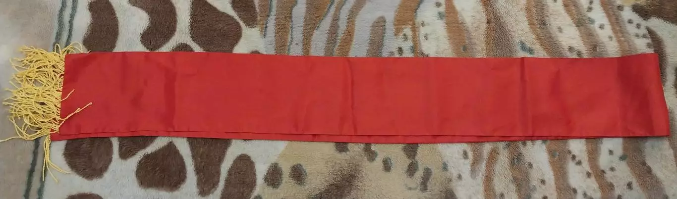 Лента чемпиона РСФСР 5