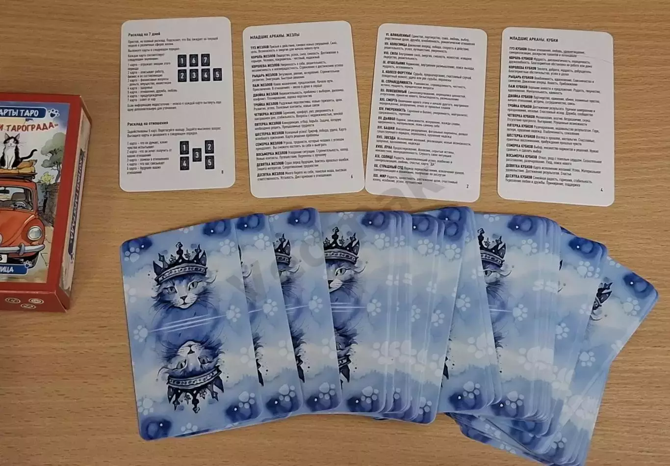 Карты Таро КОТИКИ ТАРОГРАДА 4