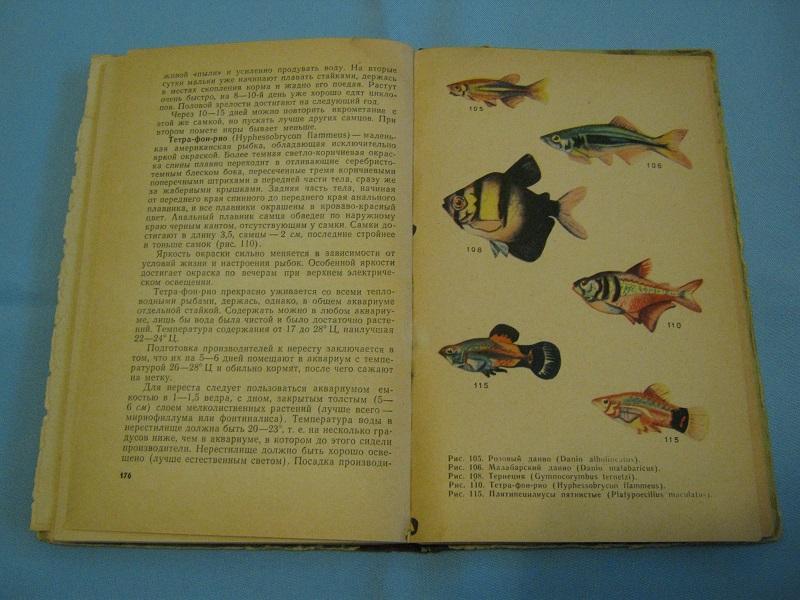 Комнатный аквариум 1964 г.. 7