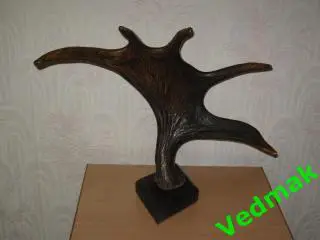 Рог лося с медальоном