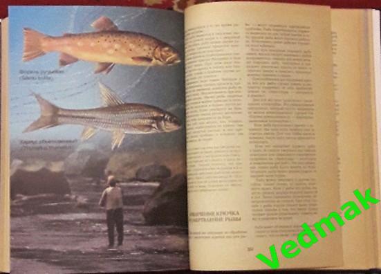 Большая книга рыболова 6