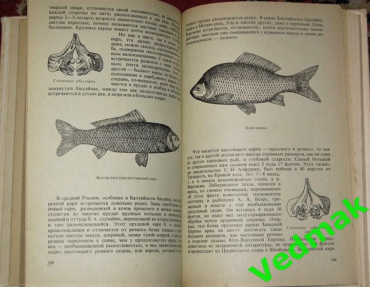 Сабанеев Л. П. Жизнь и ловля пресноводных рыб 1978 г.. 5