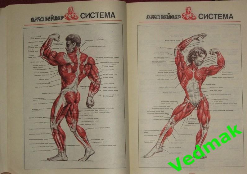 Д. Вейдер система строительства тела с плакатами 3