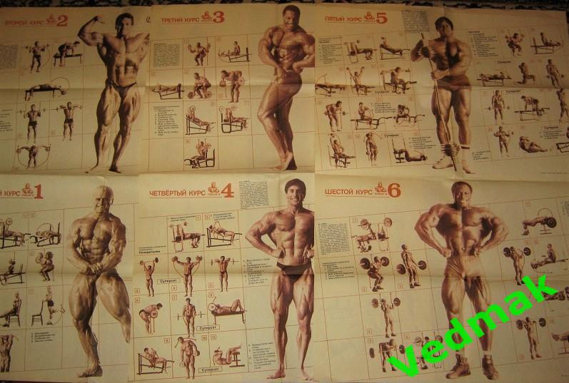 Д. Вейдер система строительства тела с плакатами 7
