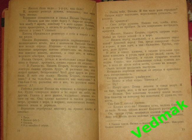 В. Иванов / Бронепоезд 14 - 69, партизаны / 1929 г.. 3