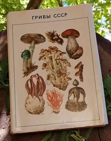 М. В. Горленко Грибы СССР 1980 г.