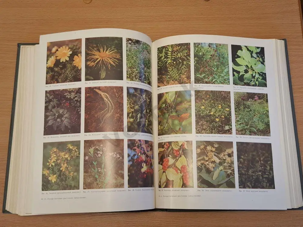 Популярная медицинская энциклопедия 1987 г 5