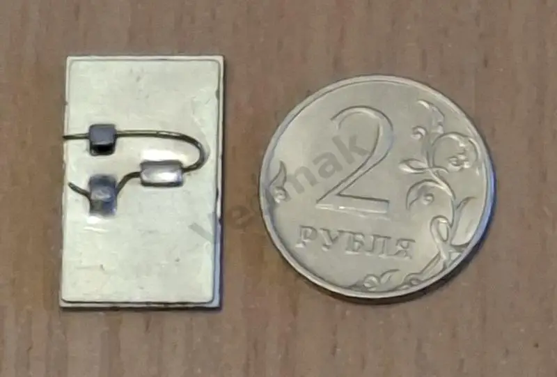 1 - я конференция отоларингологов РСФСР, Воронеж 70 1