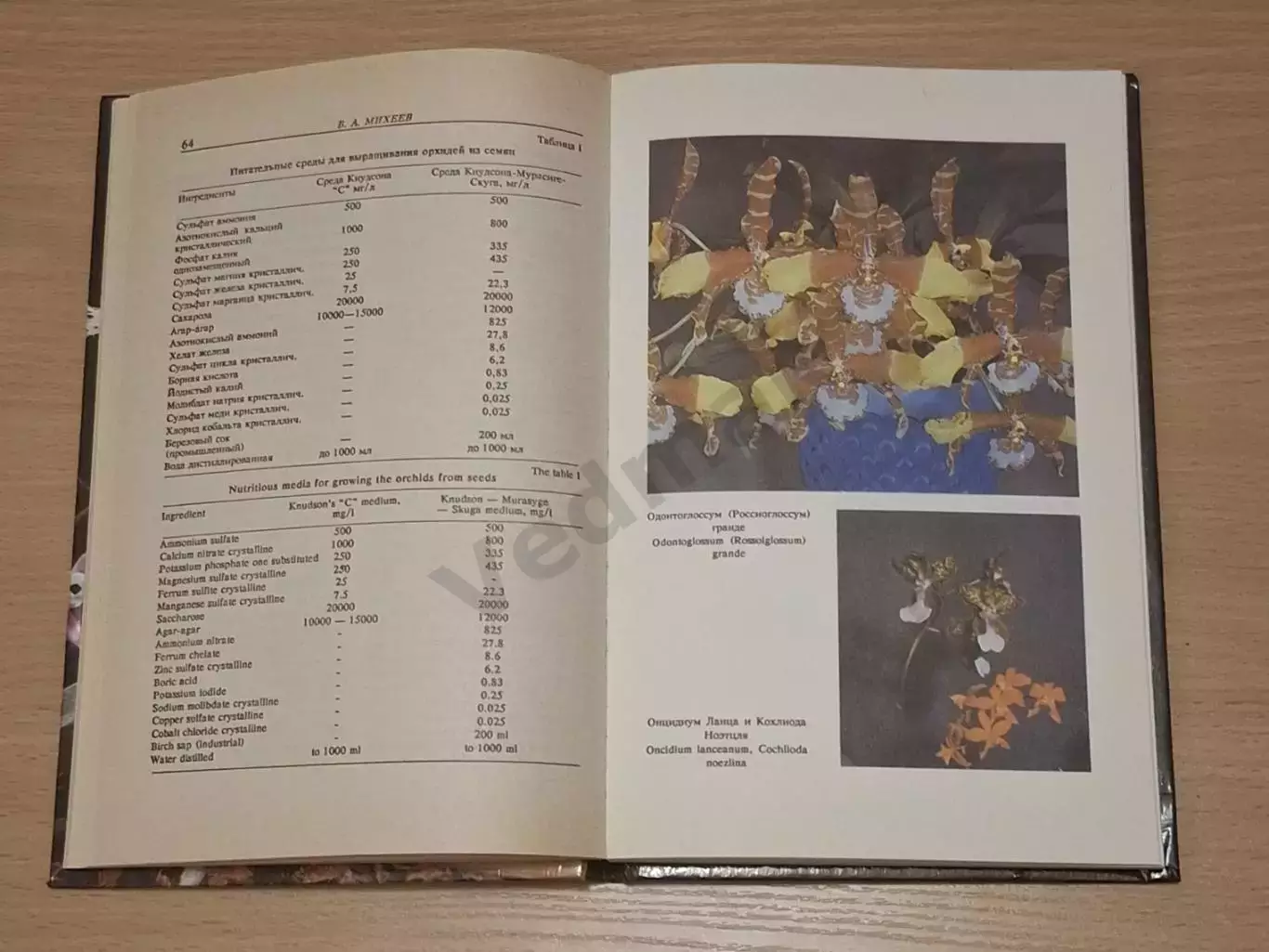 В. А. Михеев ОРХИДЕИ 1993 г 1