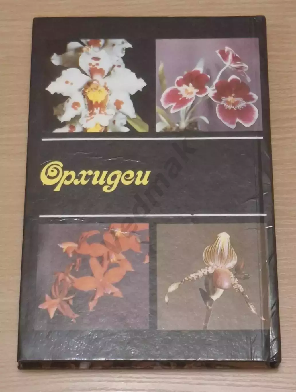 В. А. Михеев ОРХИДЕИ 1993 г 7