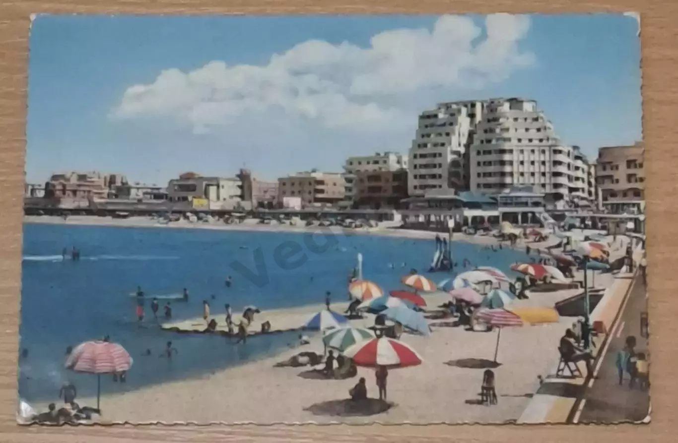 Александрия Египет postcard 4