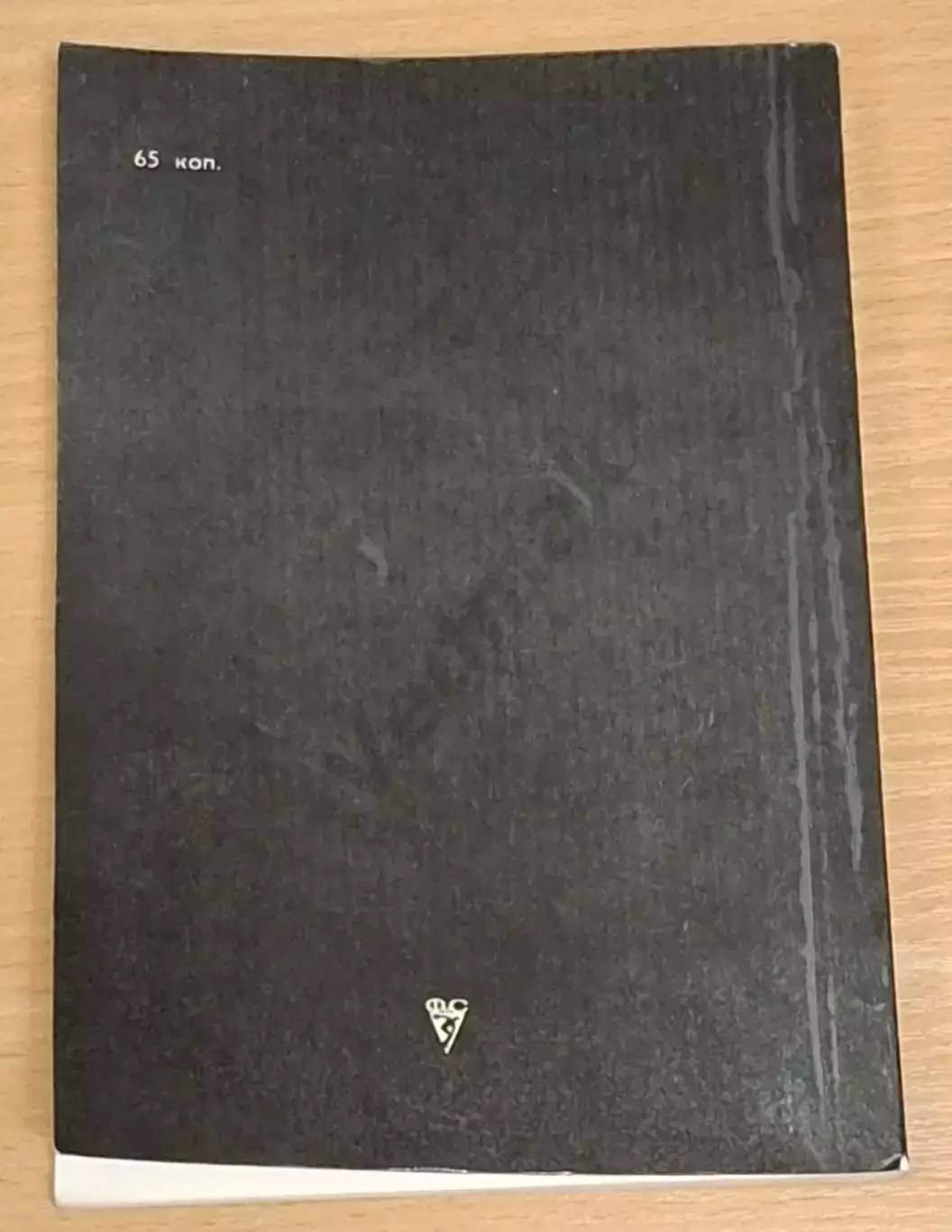 Гуфельд Э.Е.Семнадцать весен Майи 5