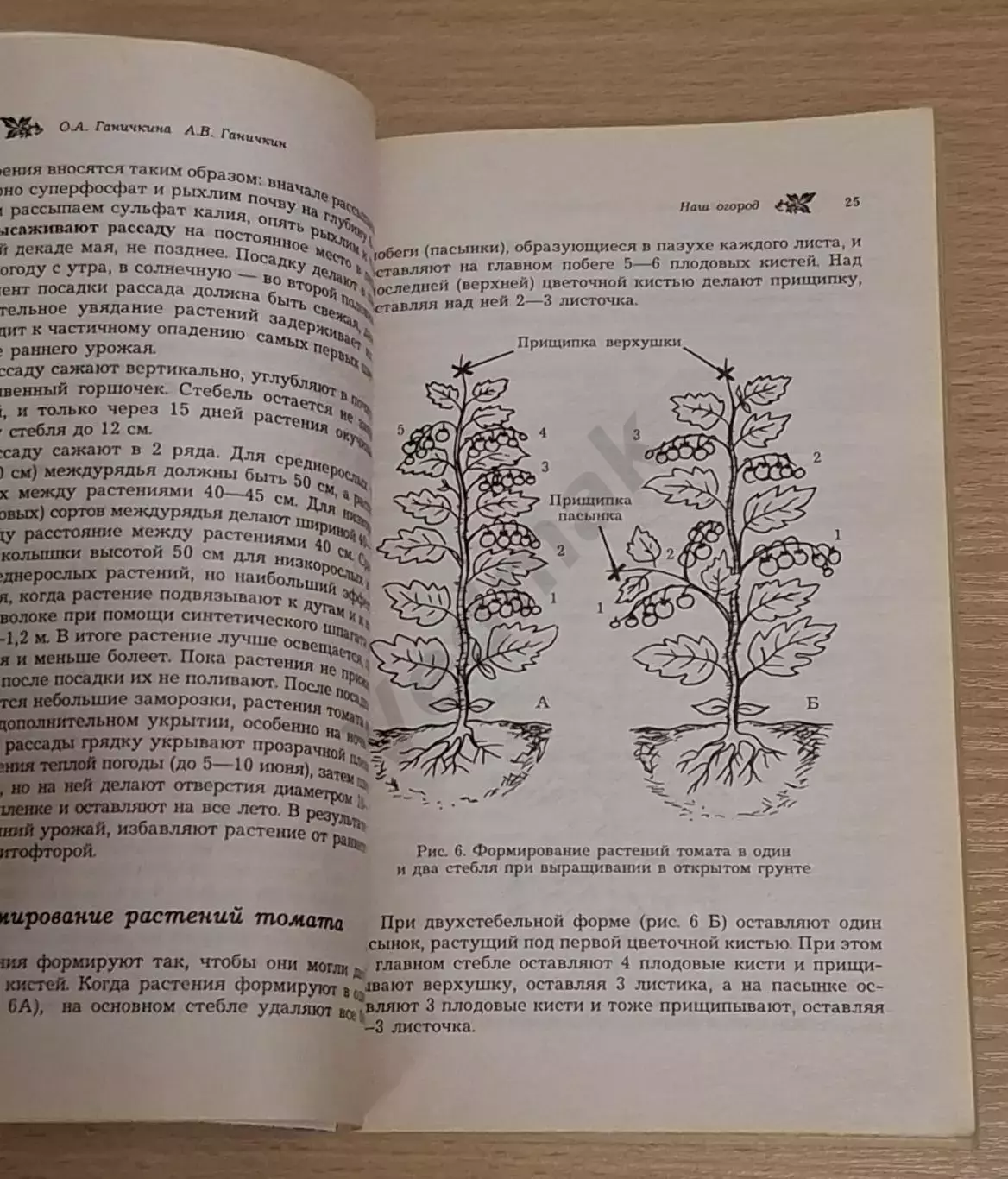 О. Ганичкина, А. Ганичкин Наш огород 2