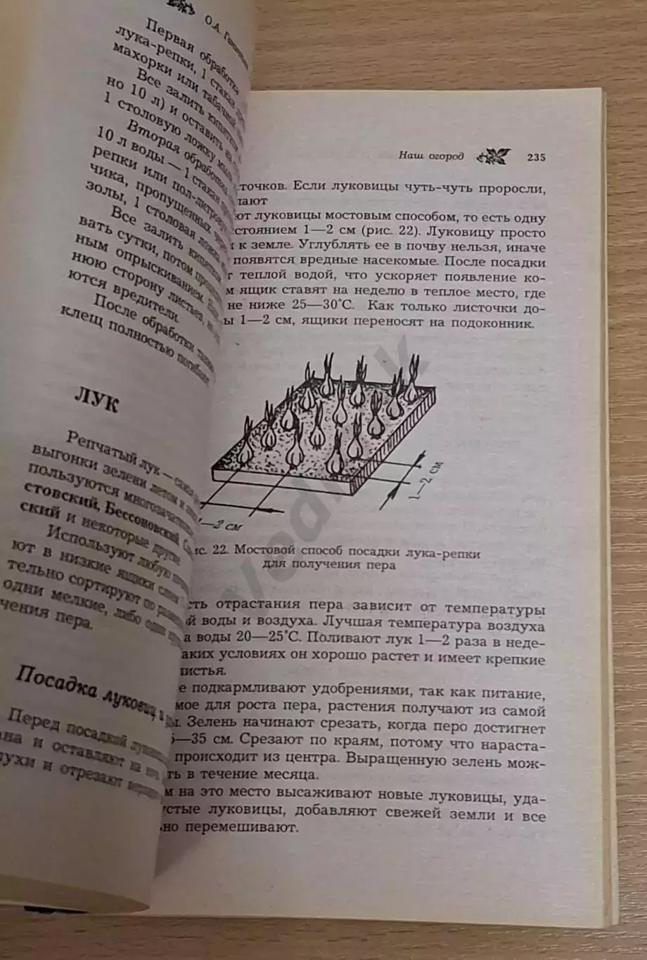 О. Ганичкина, А. Ганичкин Наш огород 3