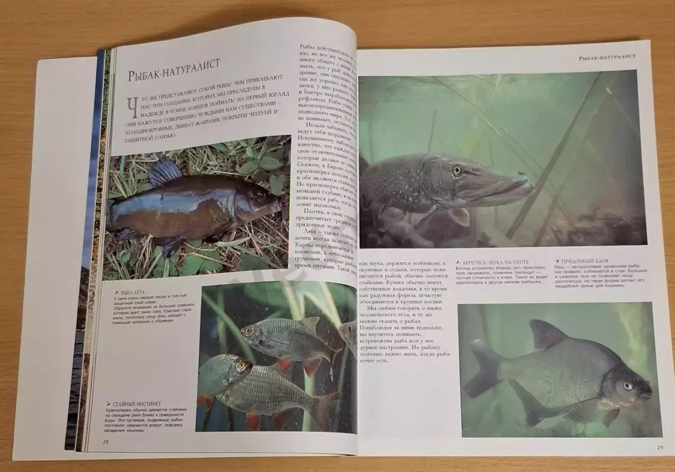 Бейли Джон Все о рыбной ловле. Снасти. Способы и приемы ловли. 2003 г 4