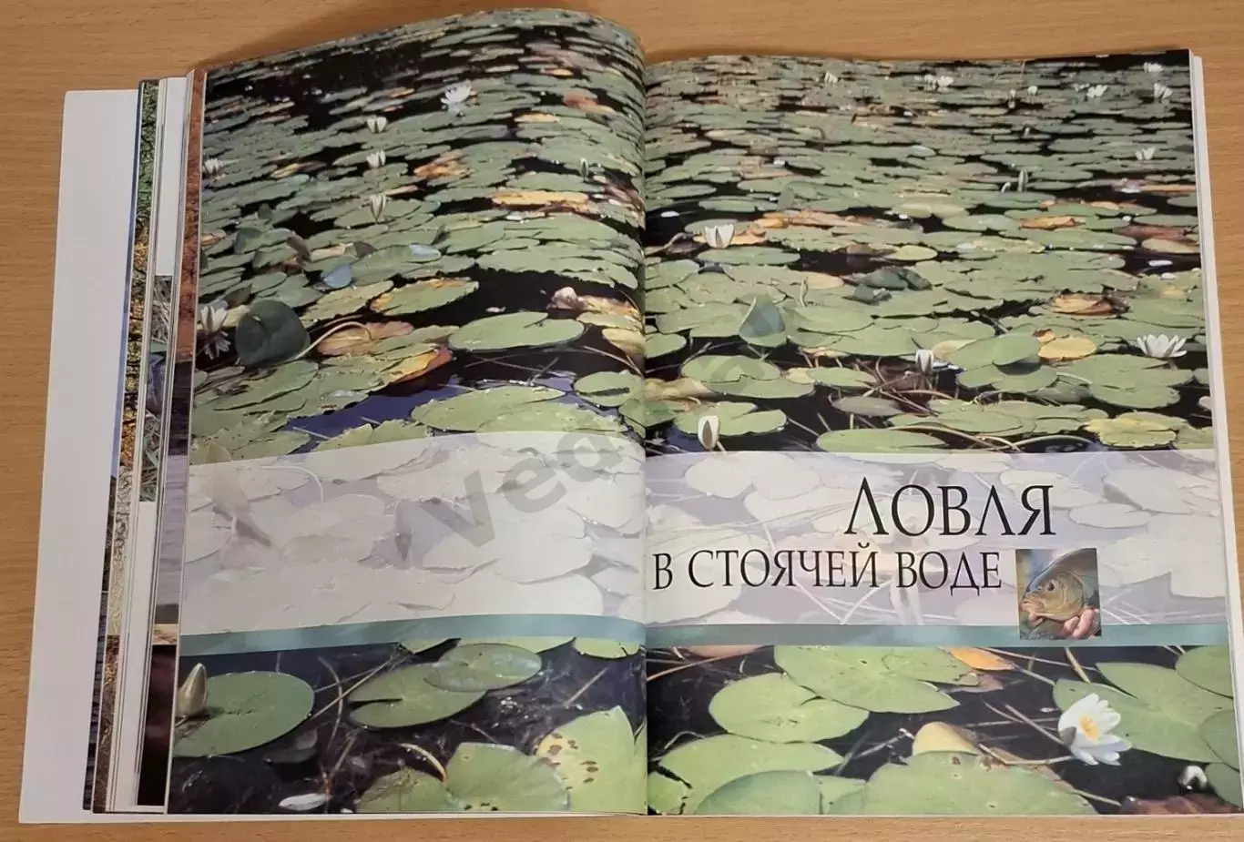 Бейли Джон Все о рыбной ловле. Снасти. Способы и приемы ловли. 2003 г 6