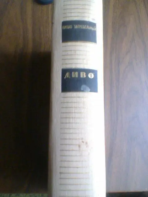 Павло Загребельный---ДИВО---Исторический роман 1