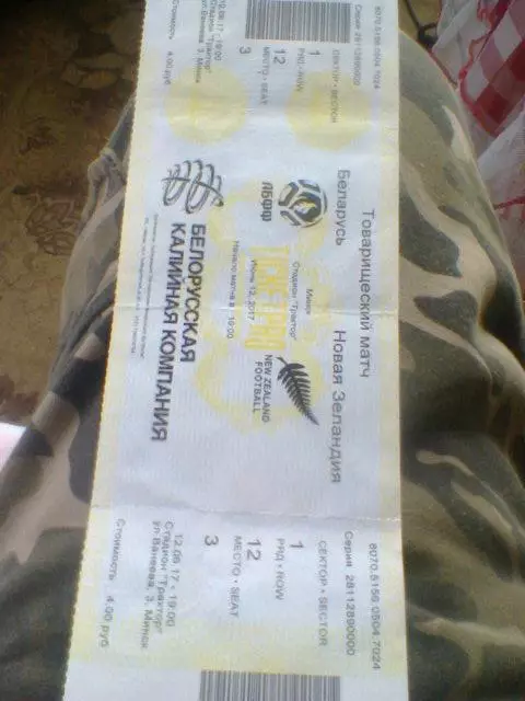 12.06.2017--Беларусь--Новая Зеландия--билет с матча