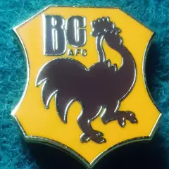 Футбол. клуб ФК БРЕДФОРД СІТІ новий АНГЛІЯ.ЕМАЛЬ.