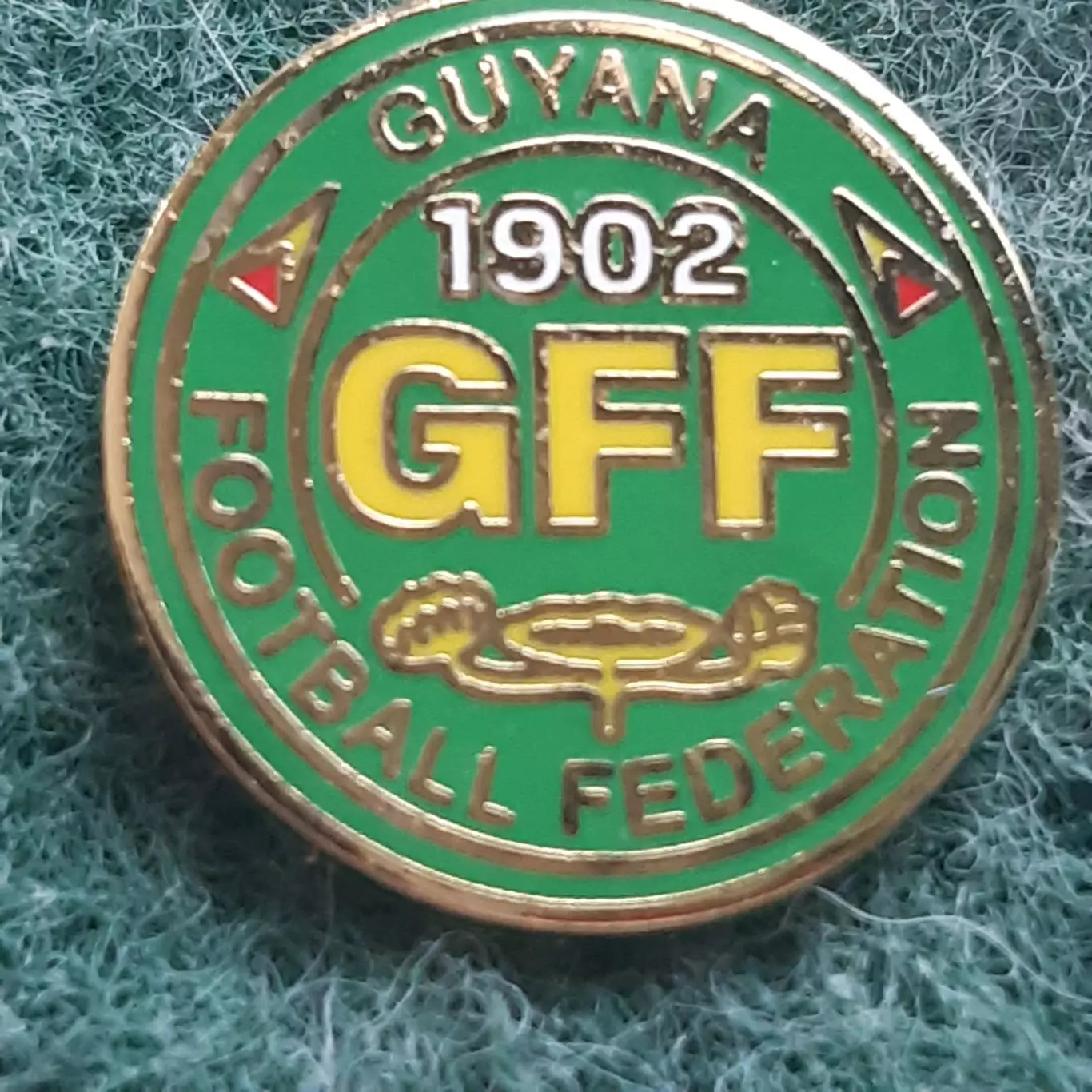 Футбол.федерація ассоціація ГАЙЯНА