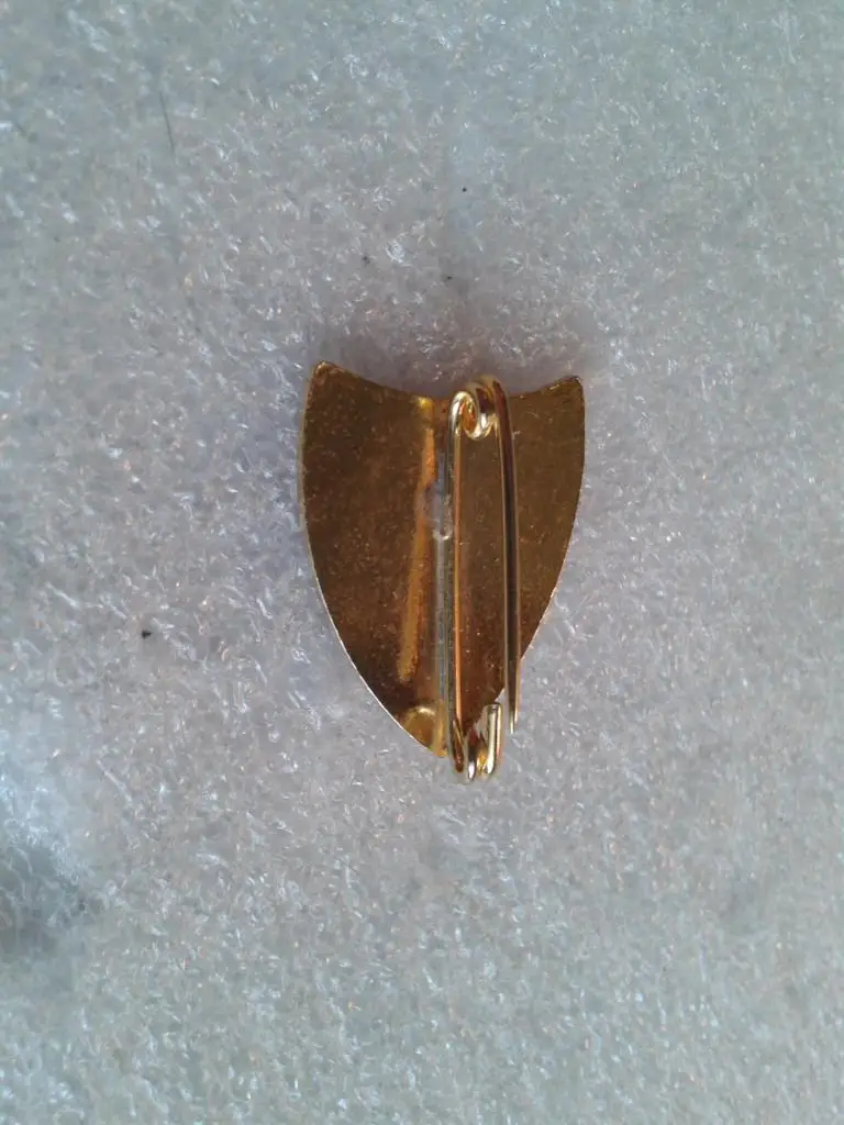 Футбол.ФК Ноттингем Форест.Англия.ЭМАЛЬ.70-е 1