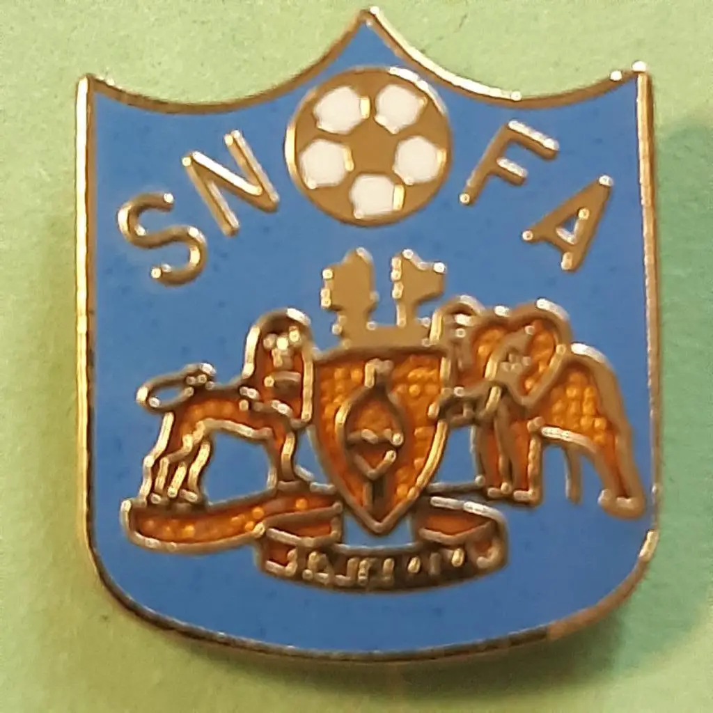 Федерация футбола Свазиленд(сейчас Эсватини).ЭМАЛЬ.1990-е гг.maker P.B.Brown Ltd