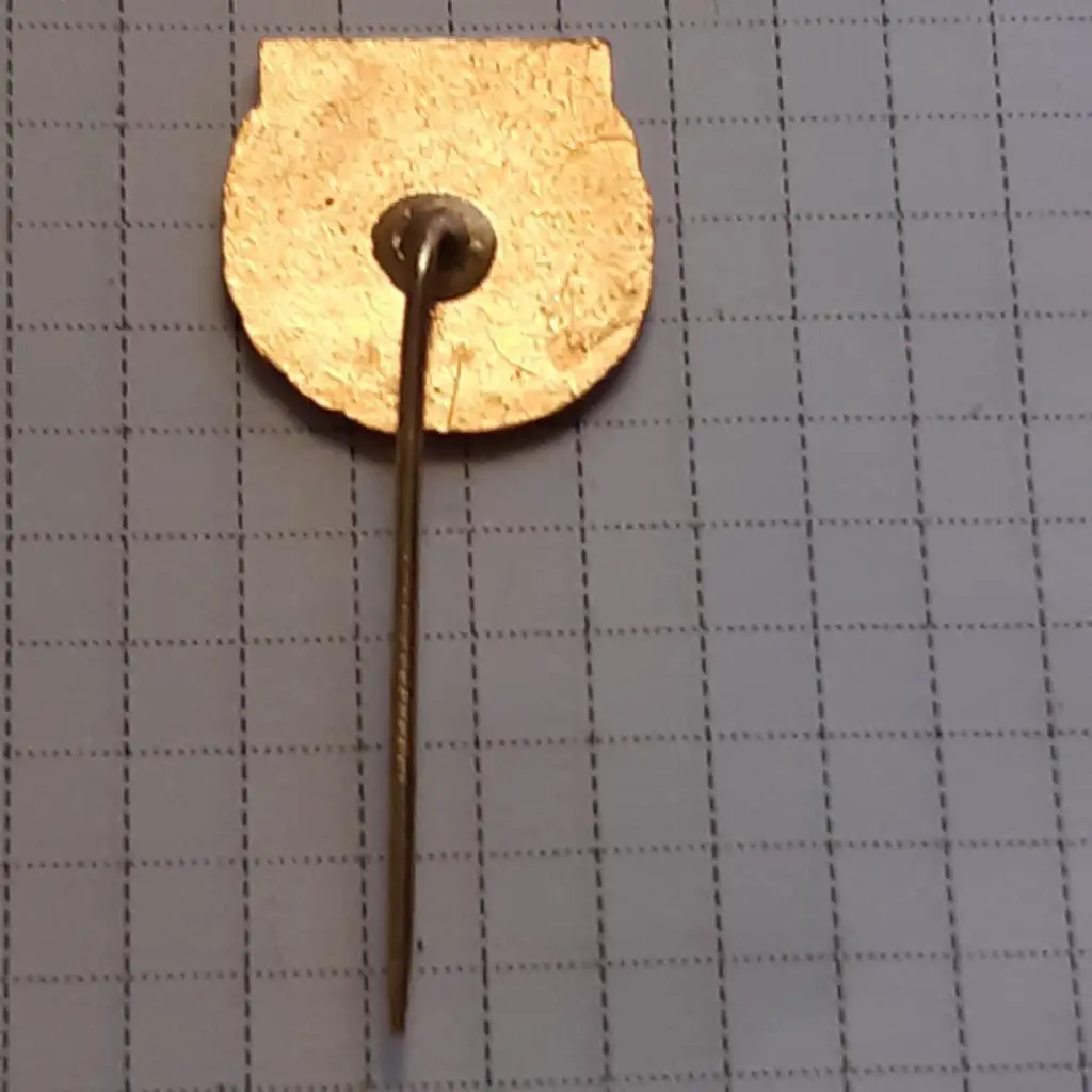 Футбол.клуб.ФК Брюне Норвегия.1980-е гг.игла ЭМАЛЬ. 1