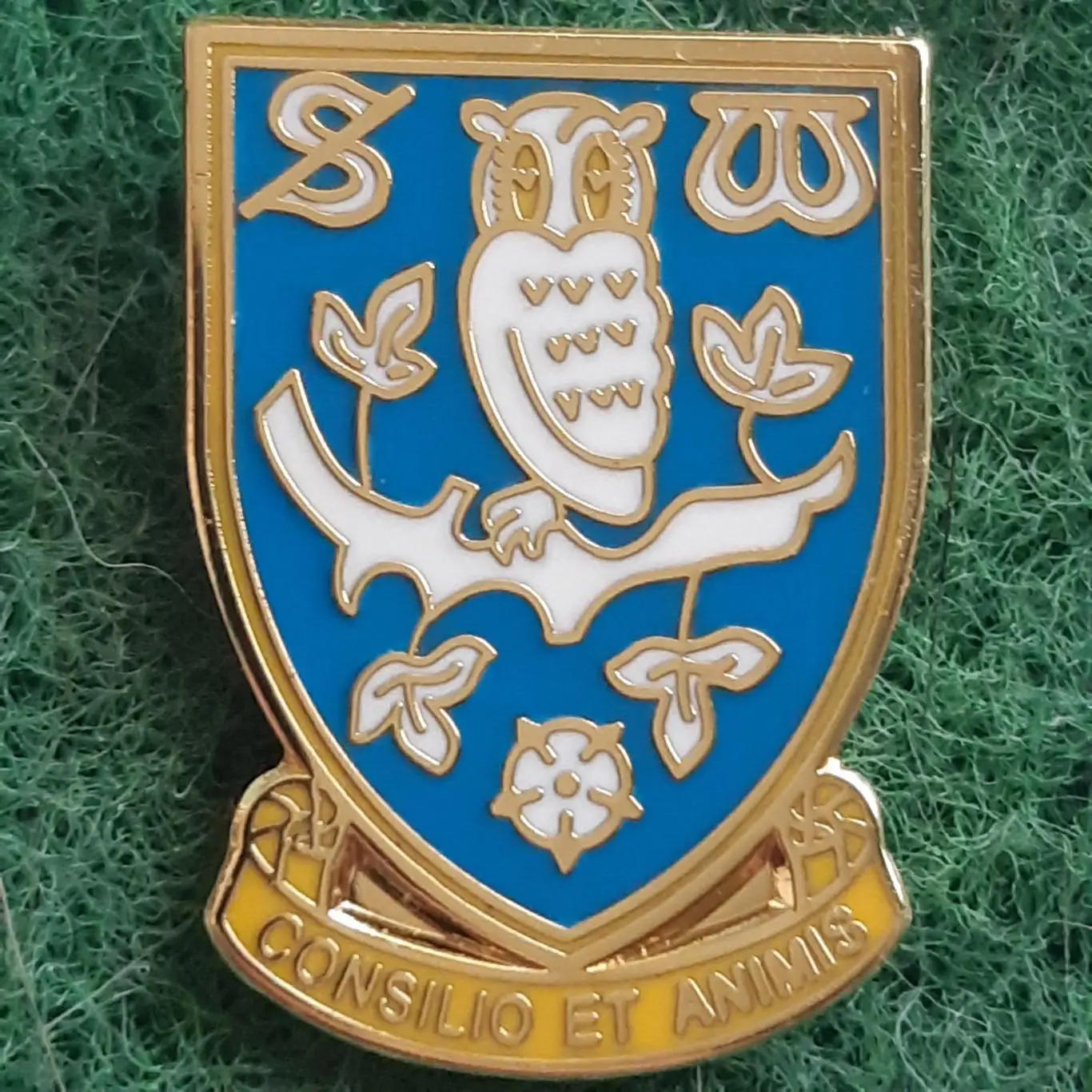 Футбол.клуб.ФК. Шеффілд Уенсдей АНГЛІЯ.ЕМАЛЬ