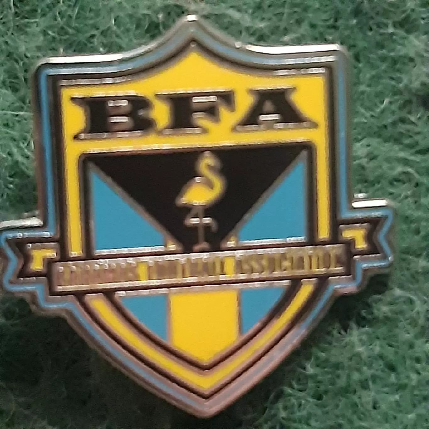 Футбол.Федерація ассоціація.БАГАМИ .ЕМАЛЬ