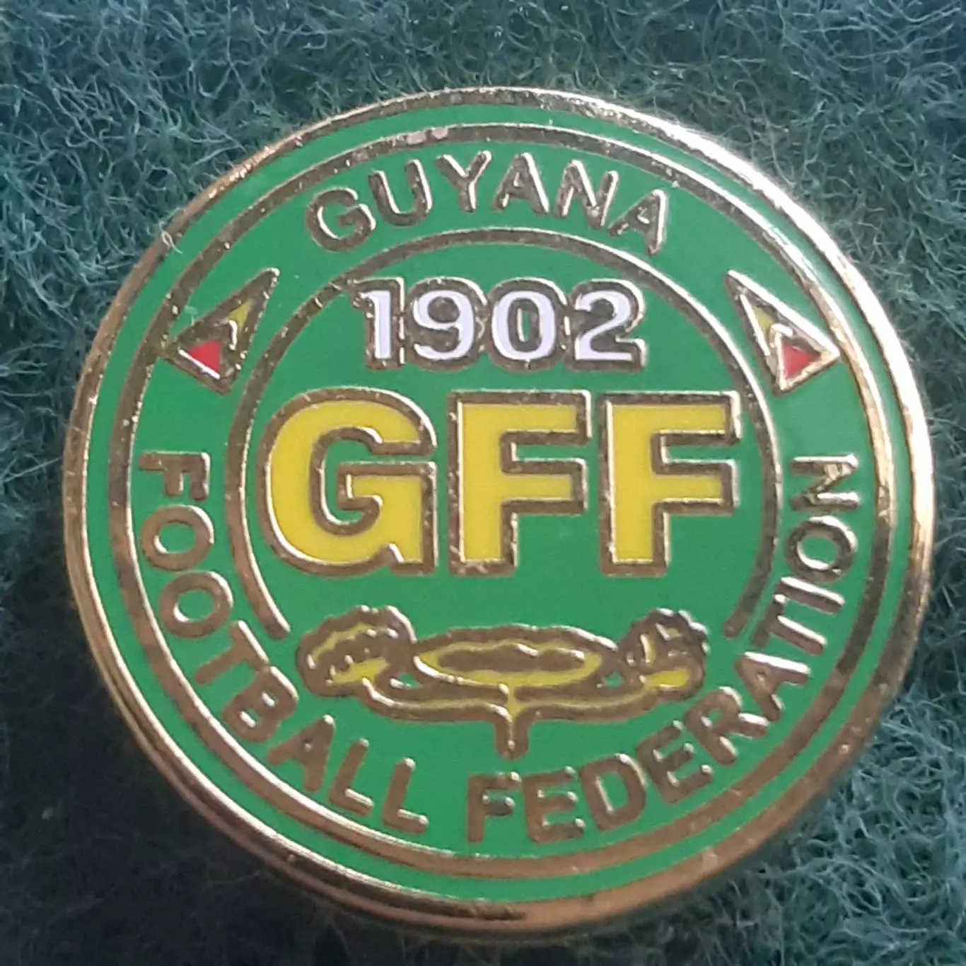 Футбол.федерація ассоціація ГАЙЯНА.ЕМАЛЬ