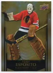 Карточка Tony Esposito/Тони Эспозито Chicago Blackhawks/Чикаго Блэкхокс НХЛ/NHL