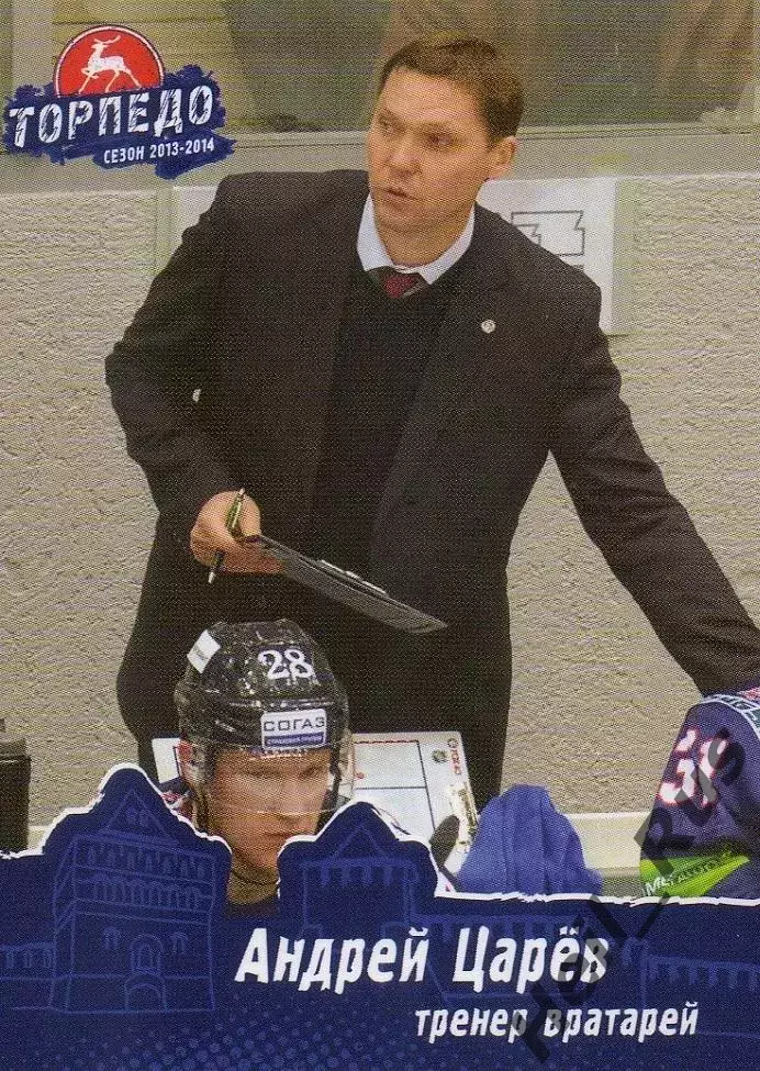 Хоккей. Карточка тренер Андрей Царев (Торпедо Нижний Новгород) КХЛ сезон 2013/14
