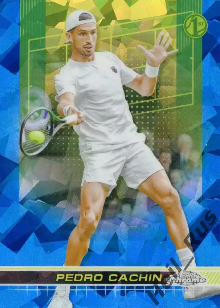 Теннис. Карточка Pedro Cachin/Педро Качин (Аргентина) 2024 TOPPS