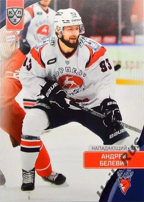 Хоккей. Карточка Андрей Белевич (Торпедо Нижний Новгород) КХЛ/KHL сезон 2023/24