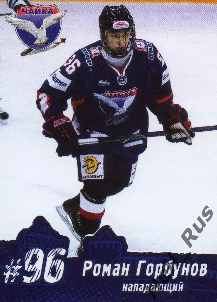 Карточка Роман Горбунов Чайка/Торпедо Нижний Новгород МХЛ/КХЛ/KHL сезон 2013/14