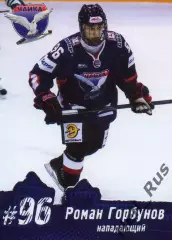Карточка Роман Горбунов Чайка/Торпедо Нижний Новгород МХЛ/КХЛ/KHL сезон 2013/14