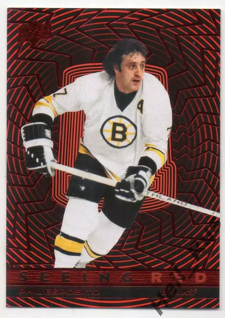 Хоккей. Карточка Phil Esposito/Фил Эспозито Boston Bruins/Бостон Брюинз НХЛ/NHL