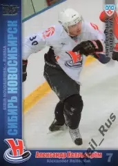 Хоккей. Карточка Александр Хелльстрем Сибирь Новосибирск КХЛ/KHL 2010/11 SeReal